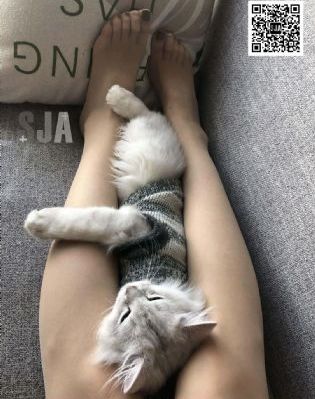 少年黑手党_720迅雷电影在线